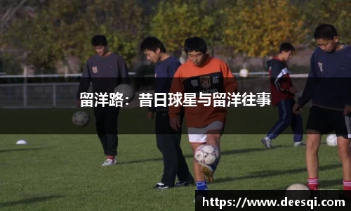 星空综合中国官方网站